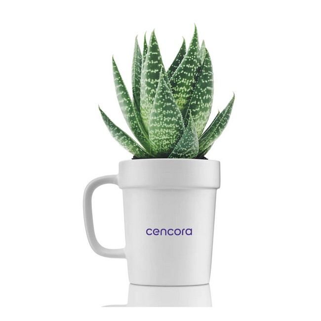 Planter mug