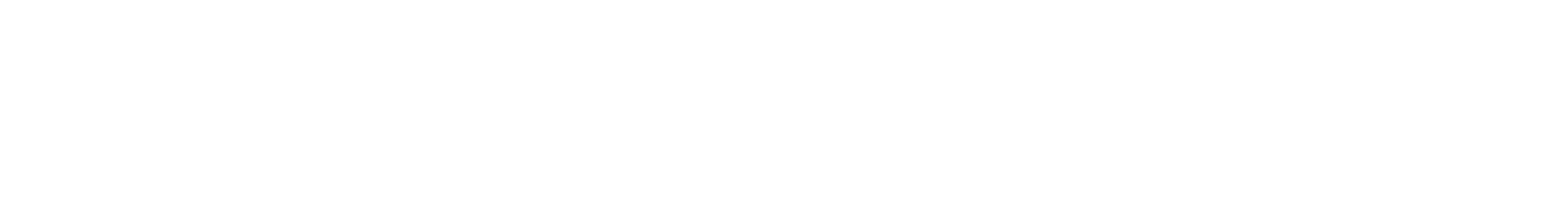 Online Store